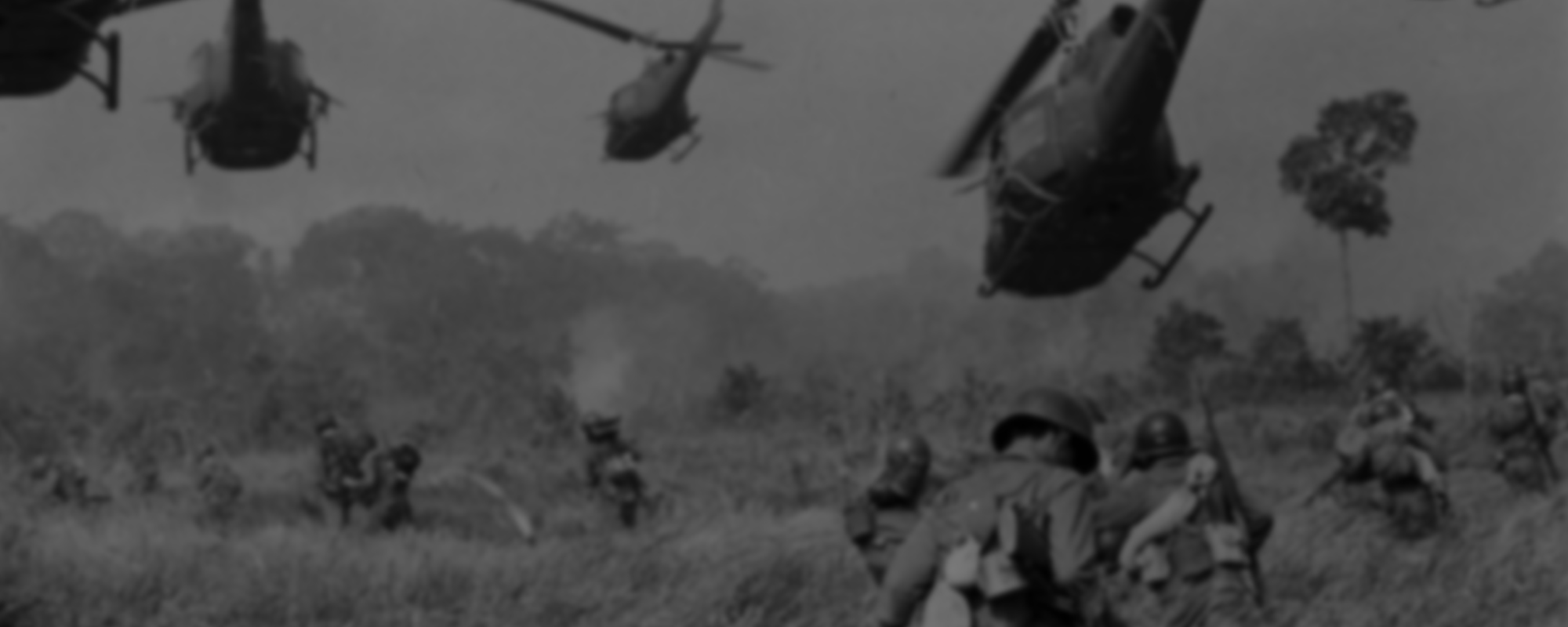 Viet1_800px