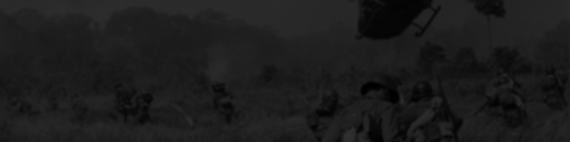 Viet1_500px