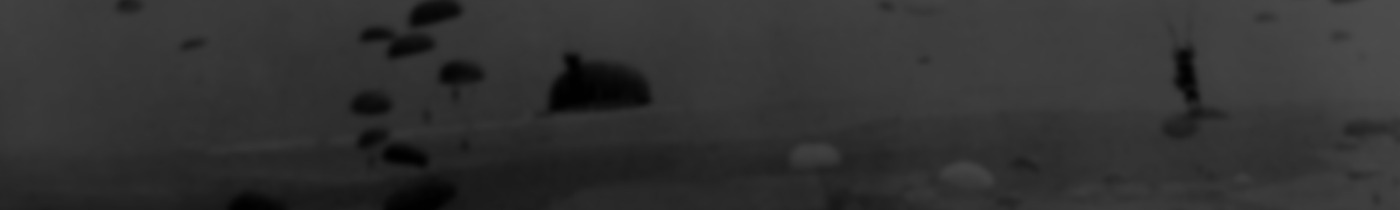Ww22_300px